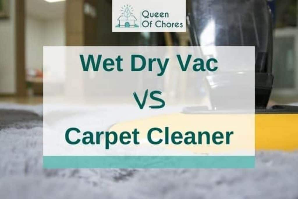 Wet Dry Vac vs Carpet Cleaner What's The Difference? Queen of Chores