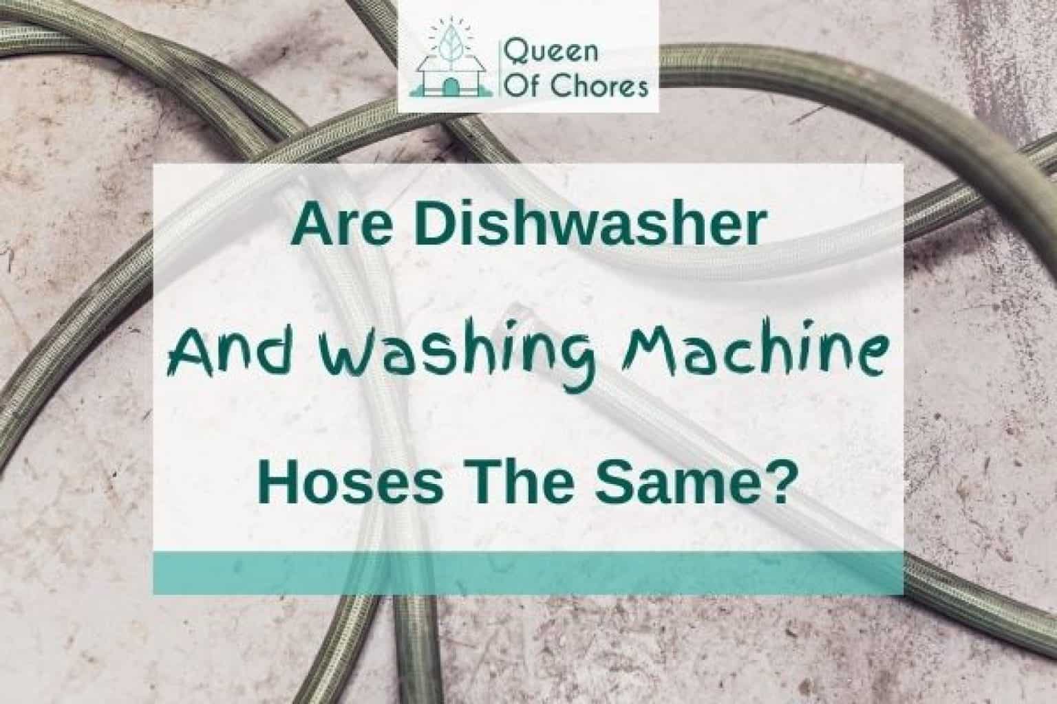 8 Most Asked Questions About Dishwasher Salt Queen of Chores
