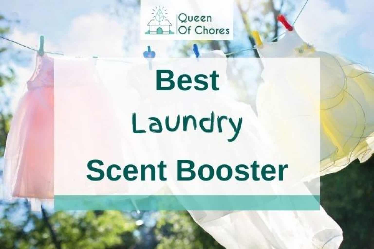 Scent Booster vs. Fabric Softener What's The Difference? Queen of