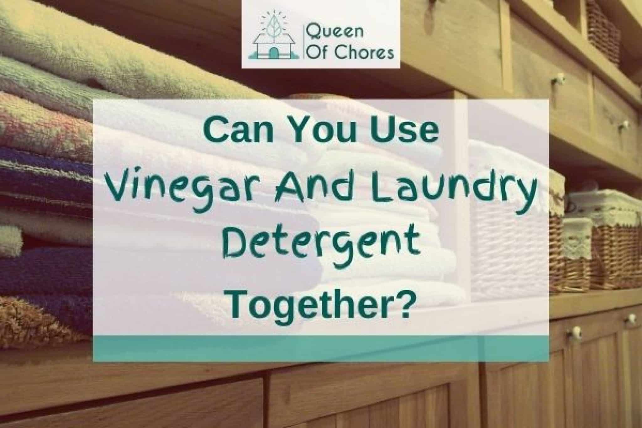 Can You Use Vinegar And Laundry Detergent Together? (Solved!) Queen