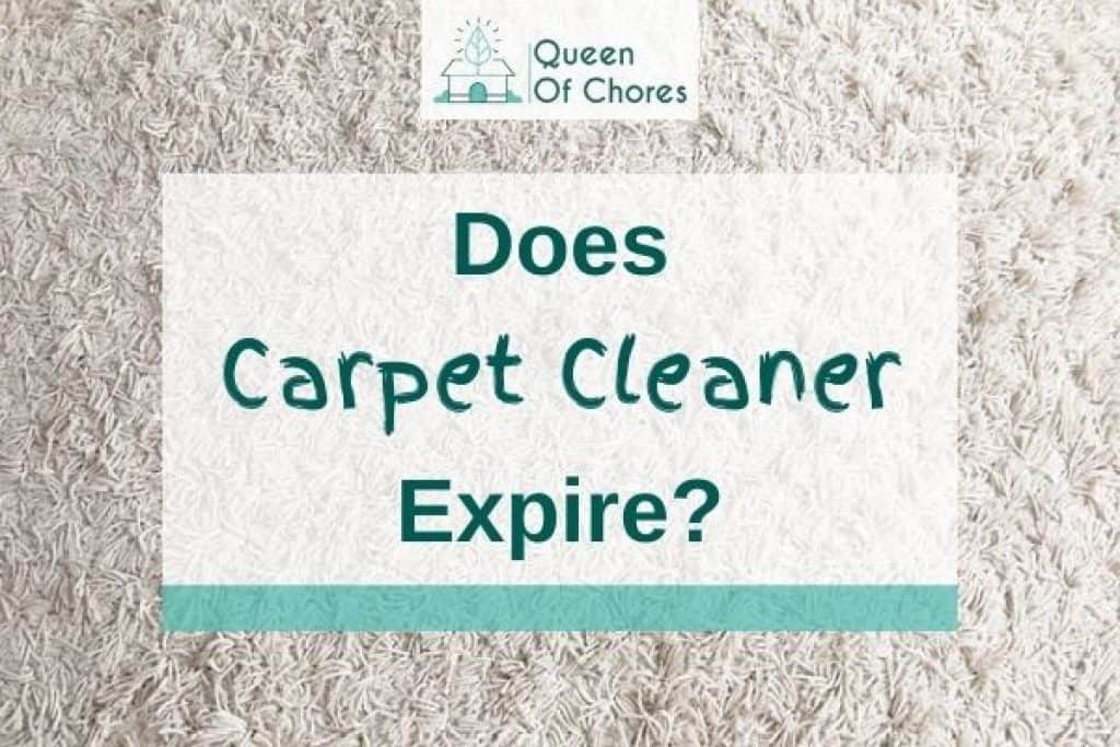 Wet Dry Vac vs Carpet Cleaner What's The Difference? Queen of Chores