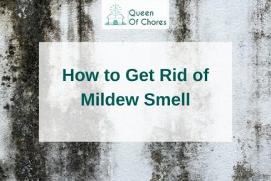 How to Get Rid of Mildew Smell in 8 Effective Methods