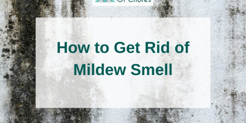 How to Get Rid of Mildew Smell in 8 Effective Methods